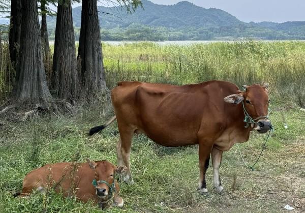 慈溪余姚两天一晚