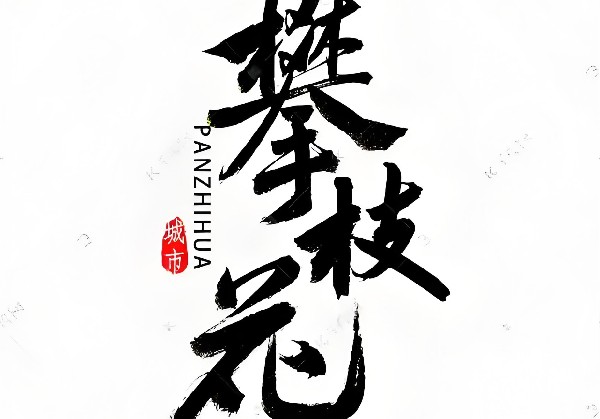 攀枝花