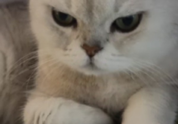 抚州