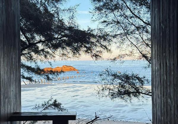 爽吃爽玩云南—版纳—普洱行