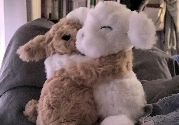 毛毛宝宝西游记