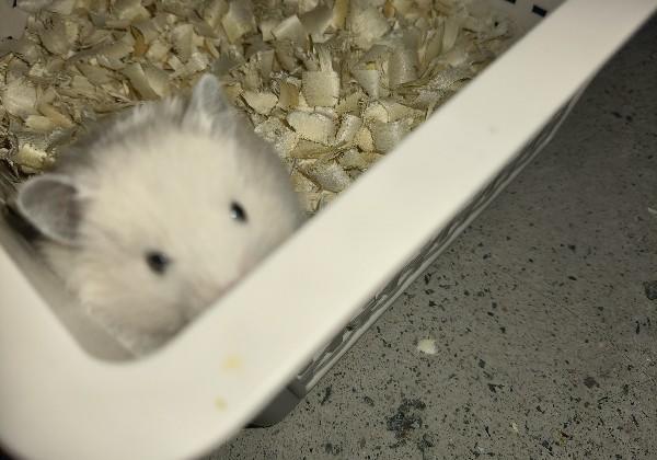 王emo的青岛旅行