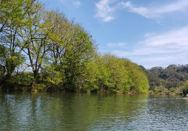 武夷山两日溜达