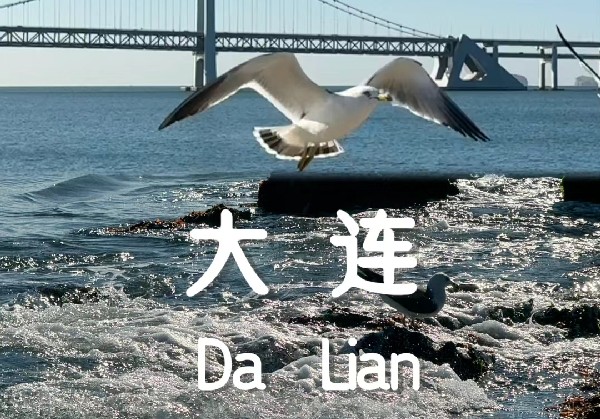 大连