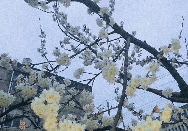 孝感