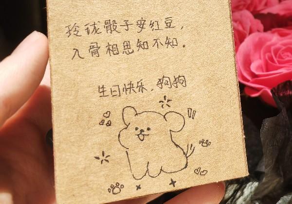 主人狗狗韶关游