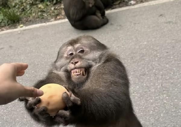 安徽
