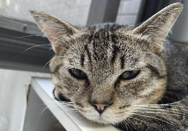 广西