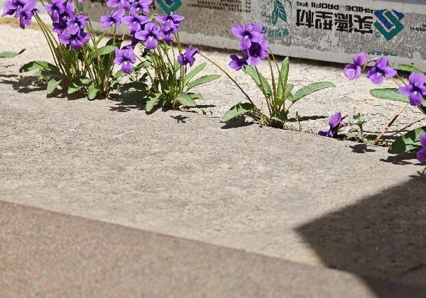 赤峰