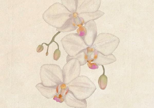 小甜大蛋嵊州游