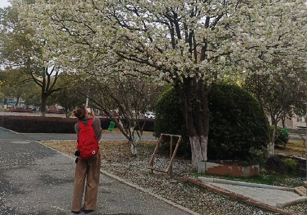 劳动节和宝宝
